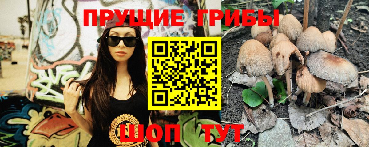 Галлюциногенные грибы Cubensis Тверь