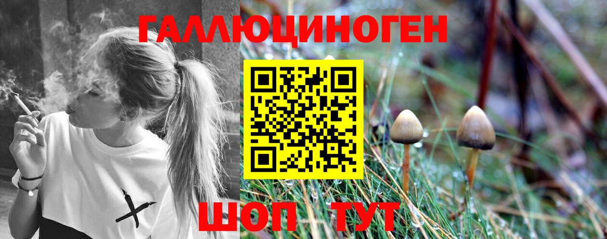 Псилоцибиновые грибы MAGIC MUSHROOMS  Вход с VPN  Тверь  Галлюциногенные грибы мицелий 